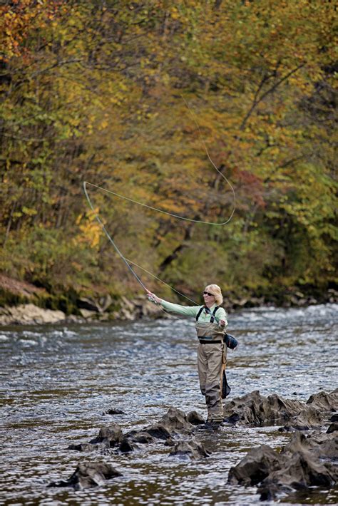 Watauga River • Tour Carter County