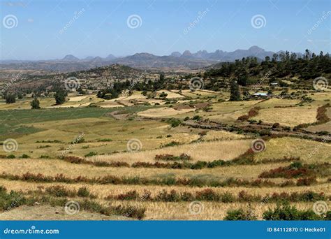 Agriculture in Ethiopia stock photo. Image of ethiopia - 84112870