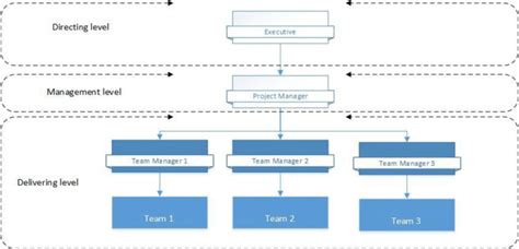 Project Management Team Structure