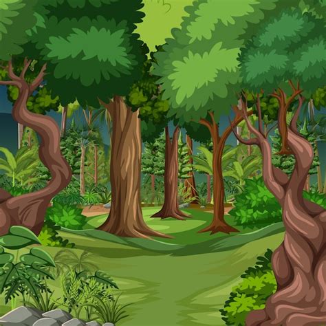 Escena Del Bosque Con Muchos Arboles Vector Premium