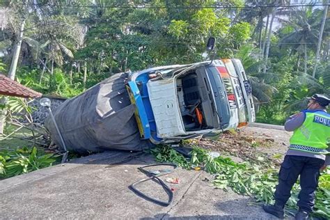 Sial Gegara Pohon Tumbang Truk Terguling Di Jalan Denpasar