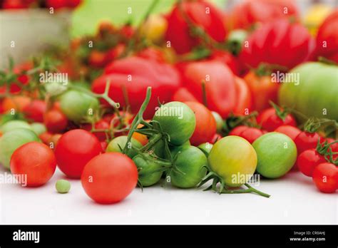 Various tomato varieties Stock Photo - Alamy