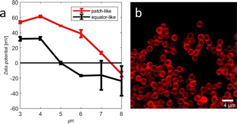 Zeta potential measurements and interactions. (a). The Zeta potential ...