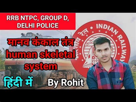 skeletal system skeletal system in hindi skeletal system drawing ककल