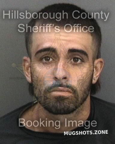 Perez Daniel Hillsborough County Mugshots Zone