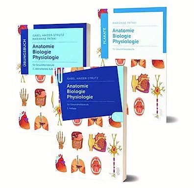 Amazon Fr Lernpaket Anatomie Biologie Physiologie II Lehrbuch