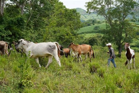 Participatory Action Research In Rural Honduras Hsf House Blogs