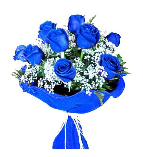 Ramo de 12 rosas azules | Envio Flores