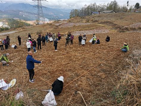 州农科院国家科技特派团暨国家燕麦荞麦产业技术体系凉山综合试验站在越西县开展科技帮扶活动 凉山农科网