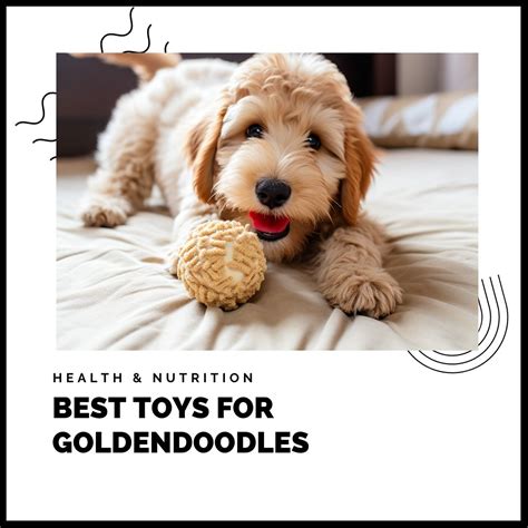 Top 8 Best Dog Toys For Goldendoodles In 2023