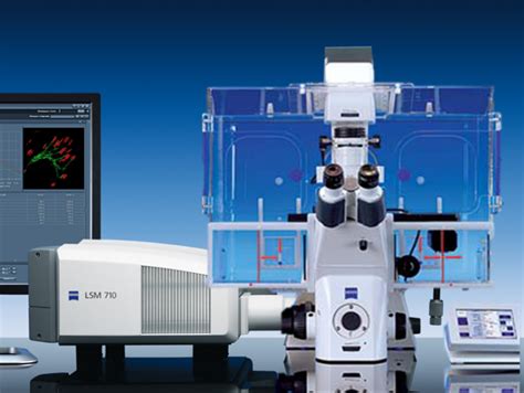 Zeiss LSM 710 3 Channel Confocal Microscope Center For Immunology