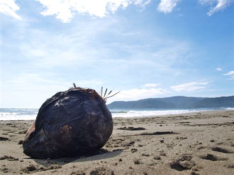 Images Gratuites plage côte eau la nature le sable Roche océan