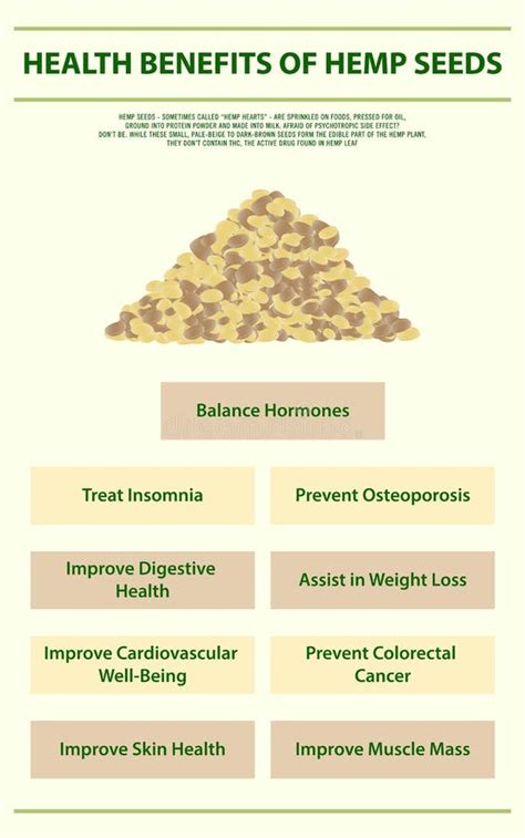 Health Benefits Of Hemp Seeds Vertical Infographic Complete Stock