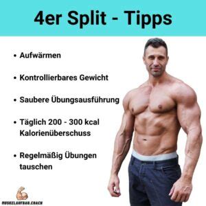 4er Split Trainingsplan Muskelaufbau Coach