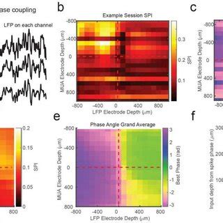 Cross Channel Spike Lfp Phase Coupling Reversal Correlates With