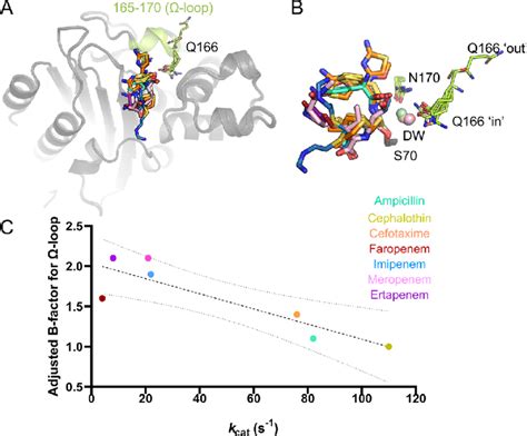 B factors of the KPC 2 Ω loop for β lactam acyl enzyme complex