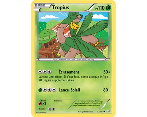 TROPIUS 110 PV 12 108 XY06 Ciel Rugissant XY 06