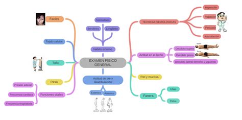 Examen Fisico General Image Image Image Image Image Coggle Diagram