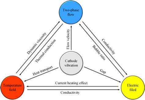 Schematics Diagram Of The Multiphysics Field Coupling Under Cathode