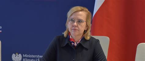 Minister Anna Moskwa na posiedzeniu Międzynarodowej Agencji Energii