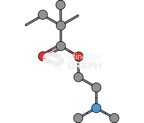 Poly N N Dimethylaminoethyl Methacrylate Molecule