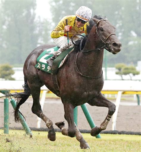 【注目馬動向】新潟大賞典vカラテ、宝塚記念も視野に2択か 辻野調教師「慎重に進めて行きます」 スポーツ報知