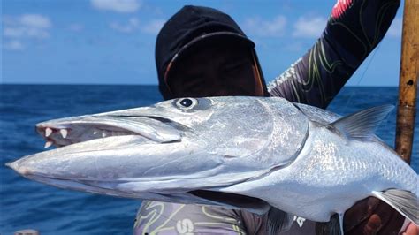 Guerreiros Do Mar PESCARIA DE MONSTROS É SINAL DE BRIGA BOA