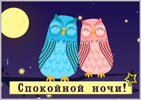 milaia kartinka spokoinoi noci  sovami na vetke otkrytki onlain