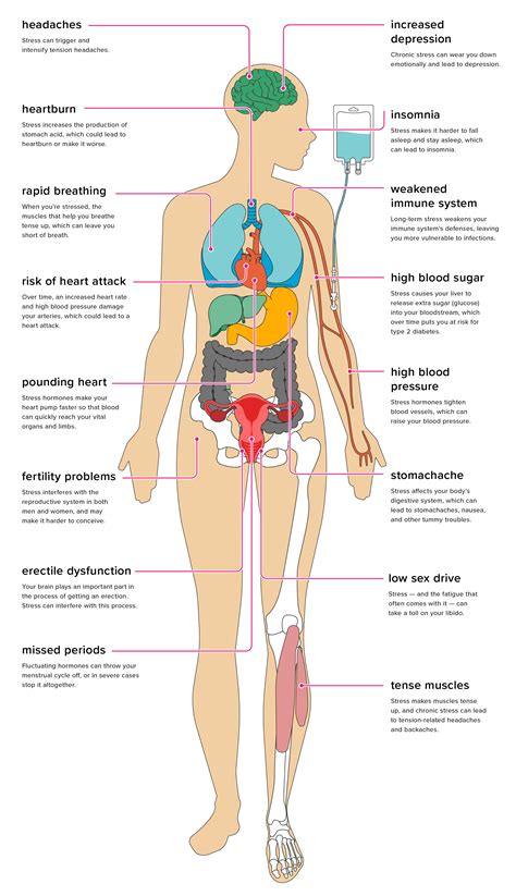 How Stress Affects Every Organ In Our Bodies World Economic Forum