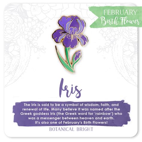 Iris Enamel Pin – Botanical Bright - Add a Little Beauty to Your Everyday