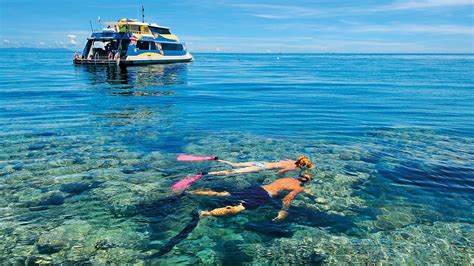 Great Barrier Reef - Cairns, Queensland Attraction | Expedia.com.au