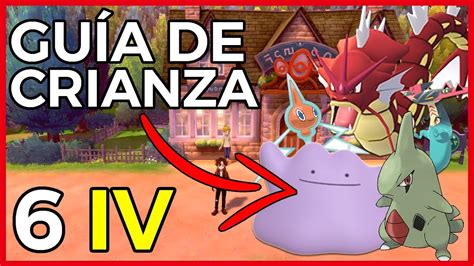 GUÍA de CRIANZA en Pokémon ESPADA y ESCUDO Todo lo básico y 6 IV