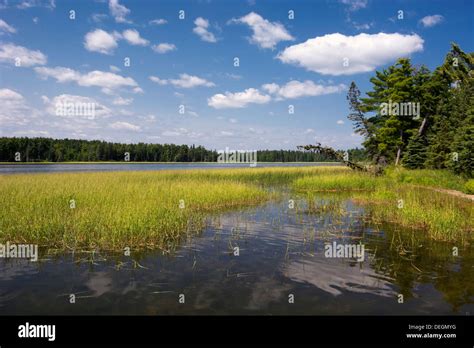 Lake Itasca in Itasca State Park, Northern Minnesota, USA Stock Photo - Alamy