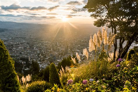 Qué es la estructura ecológica principal