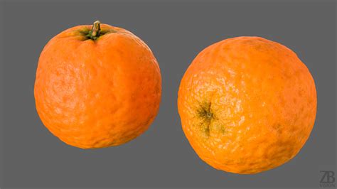 Clementine 3d Model Zb Vision