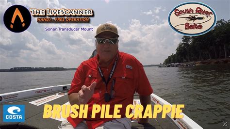 Summer Brush Pile Crappie Fishing With Livescope Youtube