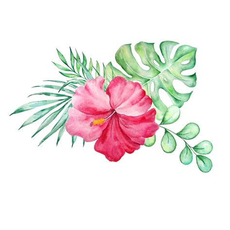 Premium Vector Watercolor Tropical Bouquet Of Hibiscus Leaves