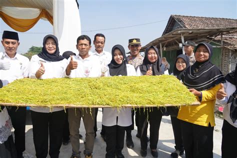 Agar Harga Jual Tembakau Semakin Meningkat Bupati Ikfina Minta Petani