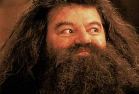 Robbie Coltrane Ator Da Saga Harry Potter Morre Aos Anos