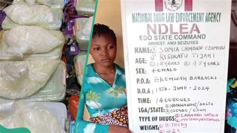 Ndlea Nigerian Drug Law Enforcement Agency News Updates On Legit Ng