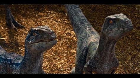 Hd Wallpaper Jurassic World Dinosaurs Animal Animal Themes Animal