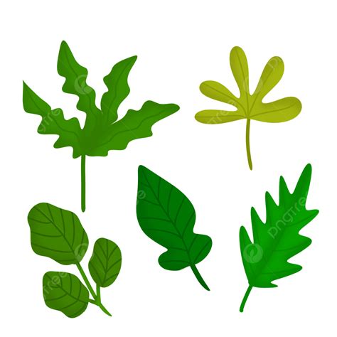 Drawn Leaf Clipart Hd Png Green Leaf Hand Drawn Collection Set Green