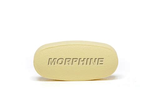 Morphine Pill Photograph By Wladimir Bulgarscience Photo Library