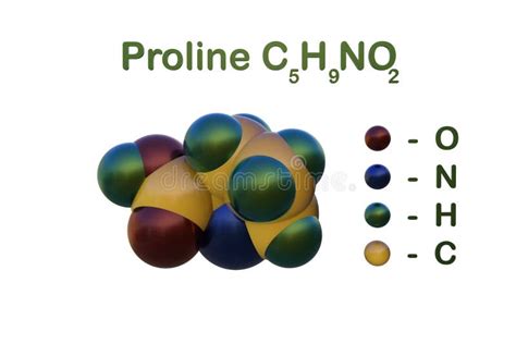 Structurele Chemische Formule En Moleculair Model Van Proline Voor Het