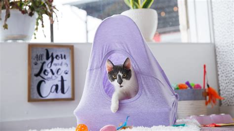 11 DIY Cat Houses You Can Easily Make | Petlife