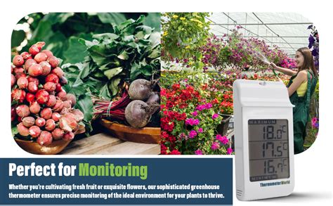 Digital Max Min Greenhouse Thermometer Max Min Thermometer To Monitor