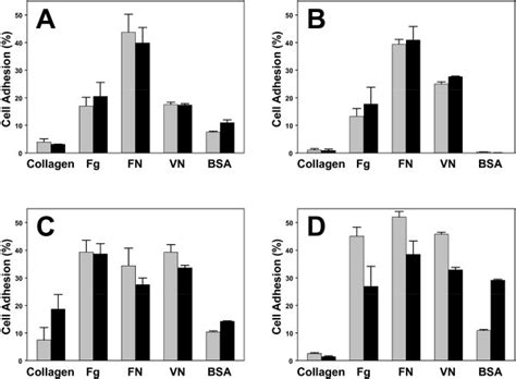 Cell adhesion to various ECM integrin ligands. Cells (A, MDA-MB-435; B ...