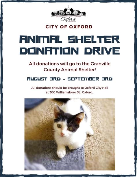 Animal Shelter Donation Flyer Template