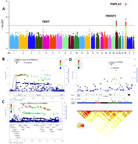 Genome Wide Association Study Discovery Gwas Results Principal