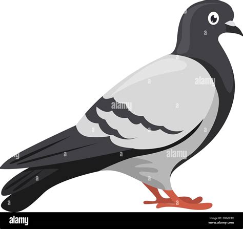 Wild White Pigeon Stock Vector Images Alamy